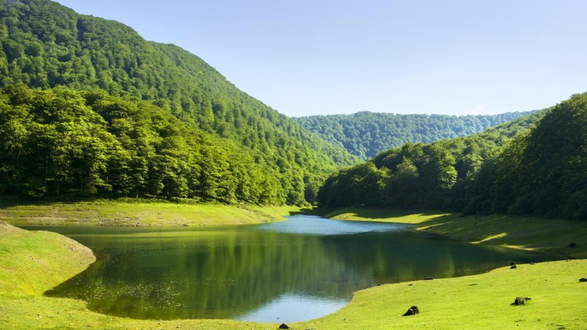 Casa Rural Arotzenia, Hogar Rustico En Pleno Valle De La Ulzama Lizaso Zewnętrze zdjęcie
