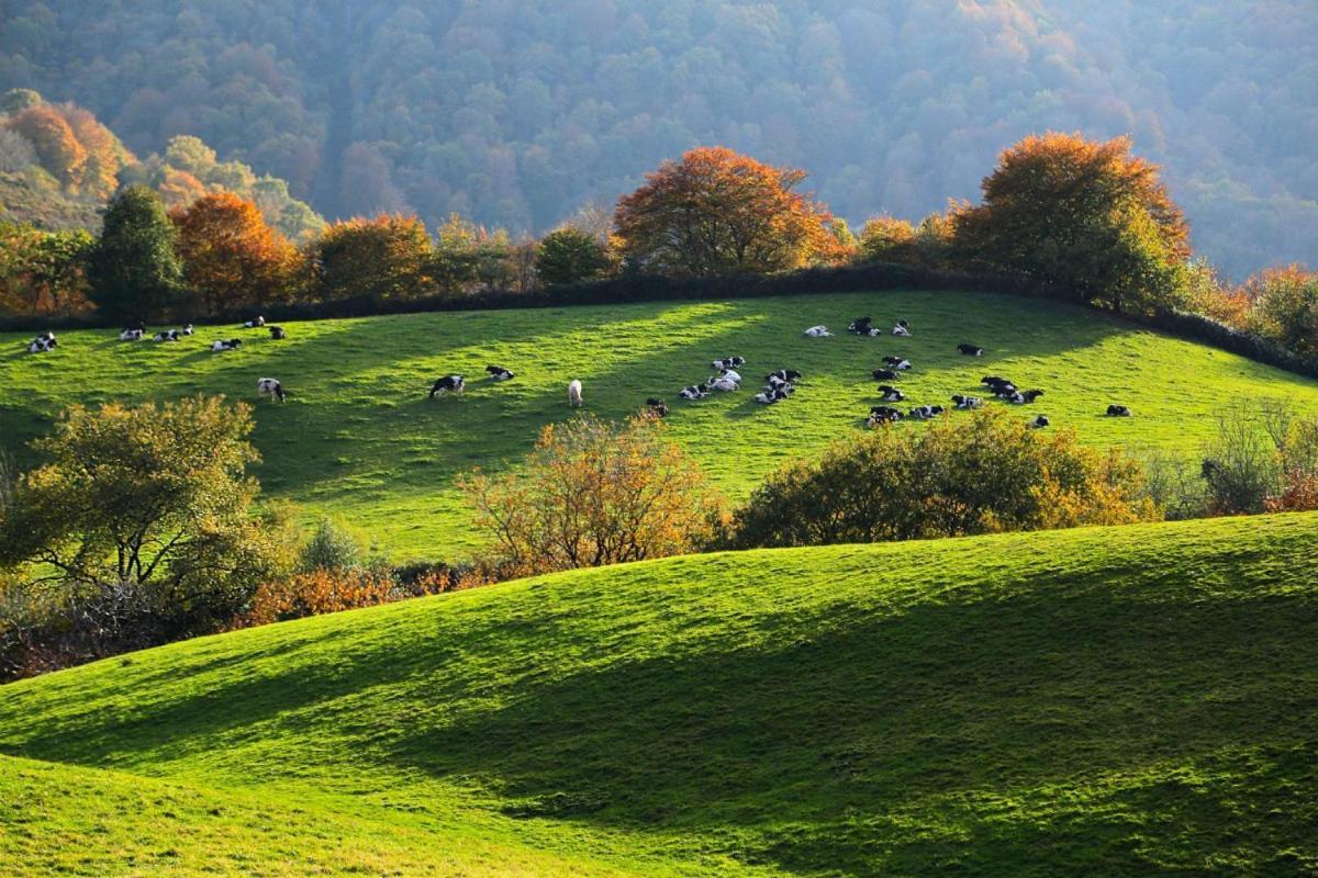 Casa Rural Arotzenia, Hogar Rustico En Pleno Valle De La Ulzama Lizaso Zewnętrze zdjęcie