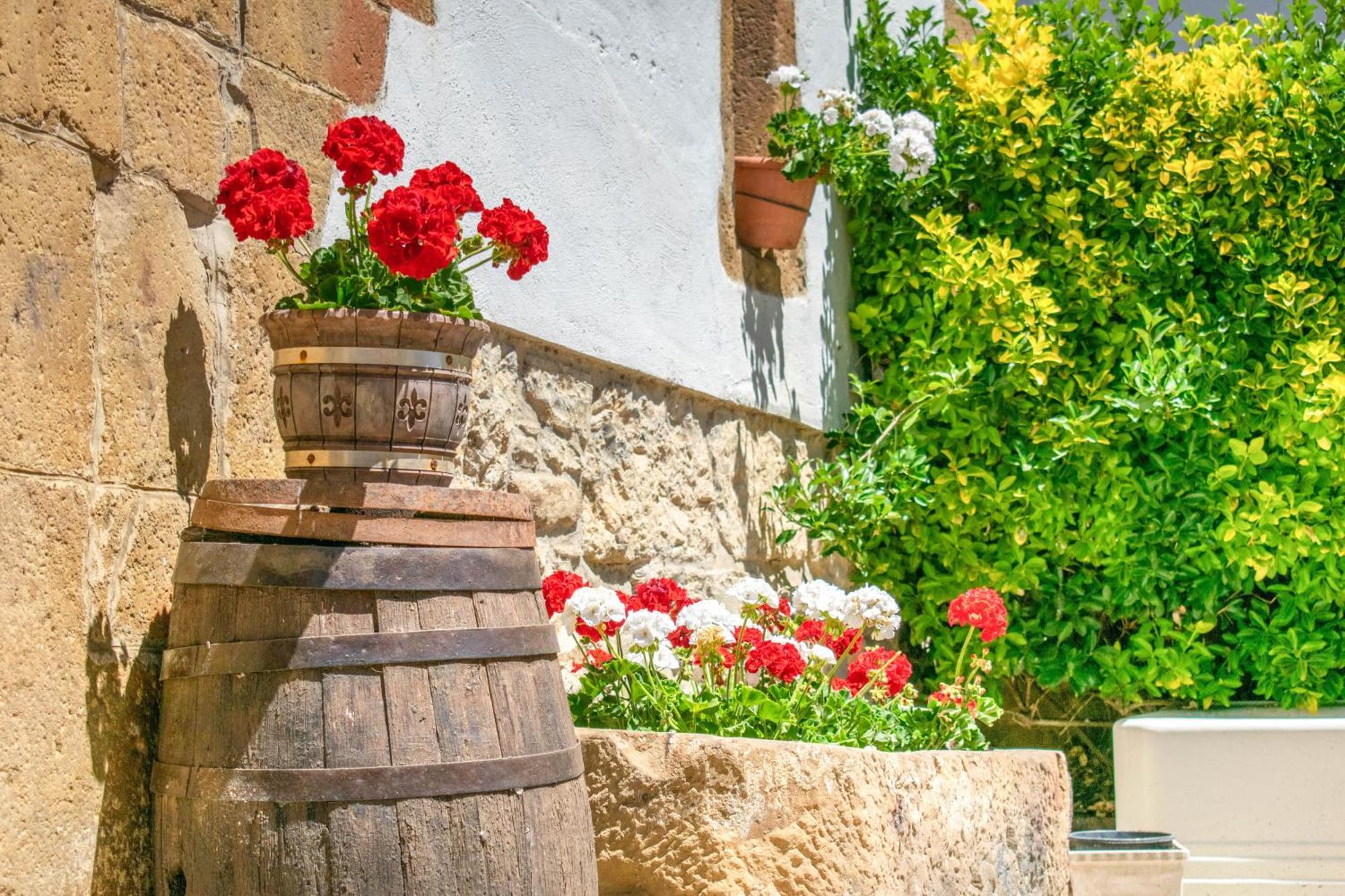 Casa Rural Arotzenia, Hogar Rustico En Pleno Valle De La Ulzama Lizaso Zewnętrze zdjęcie